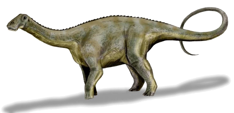 Файл:Nigersaurus BW.jpg