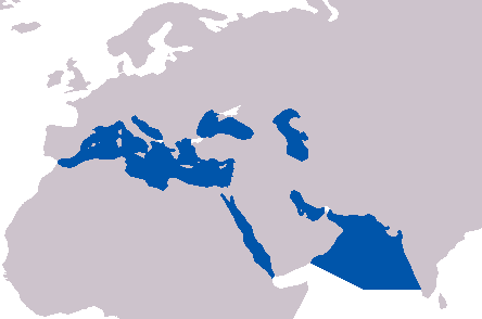Файл:Seven seas.png