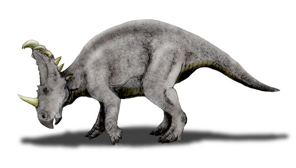 Файл:Sinoceratops NT.jpg
