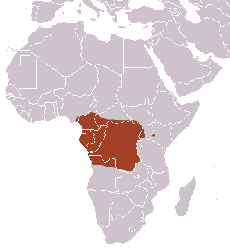 Файл:Giant Otter Shrew area.png