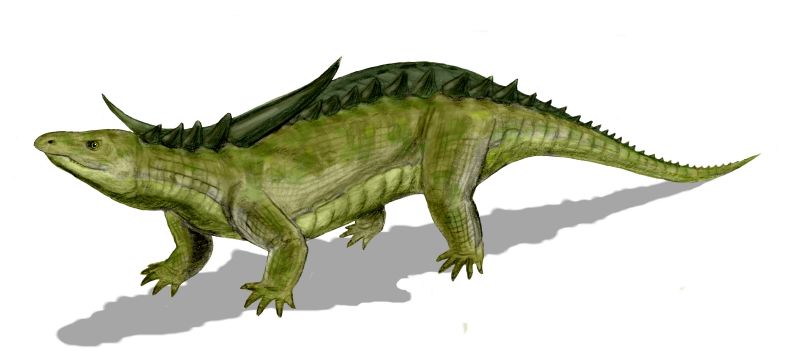 Файл:Desmatosuchus BW.jpg