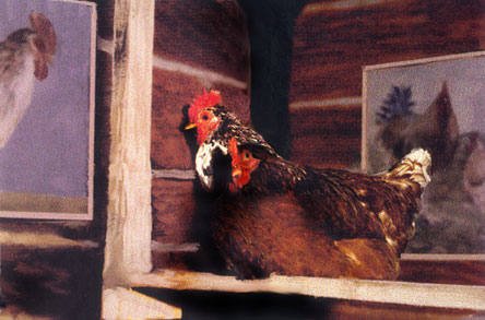 Файл:Tylicki-chicken-art.jpg
