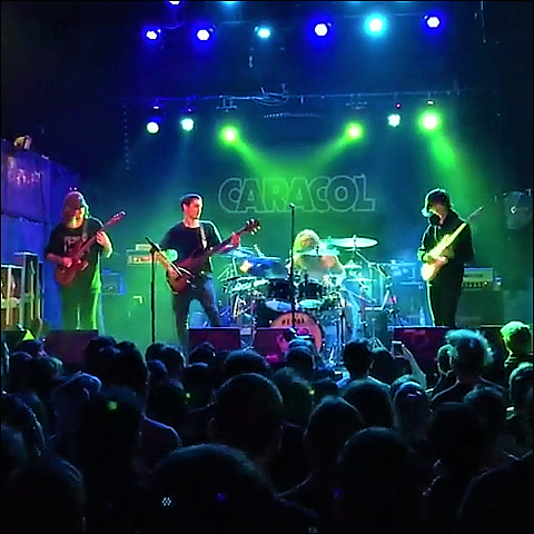 Файл:Polyphia caracol 2017 11 23.png
