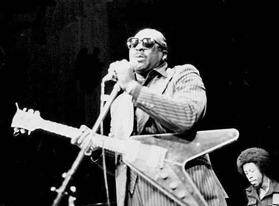 Файл:Albert King.jpg