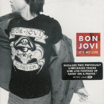 Файл:Bon Jovi - It’s My Life.jpg