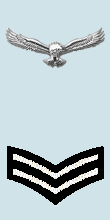 Файл:IAF Cpl Arm.png