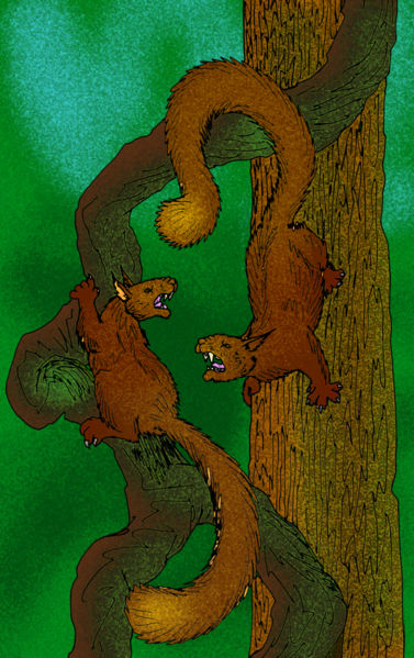 Файл:Kopidodon macrognathus.jpeg