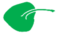 Файл:Leaf morphology peltate.png
