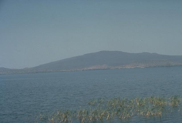 Файл:Corbetti.jpg