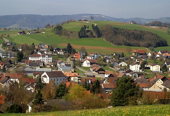 Файл:Endingen Dorf.jpg