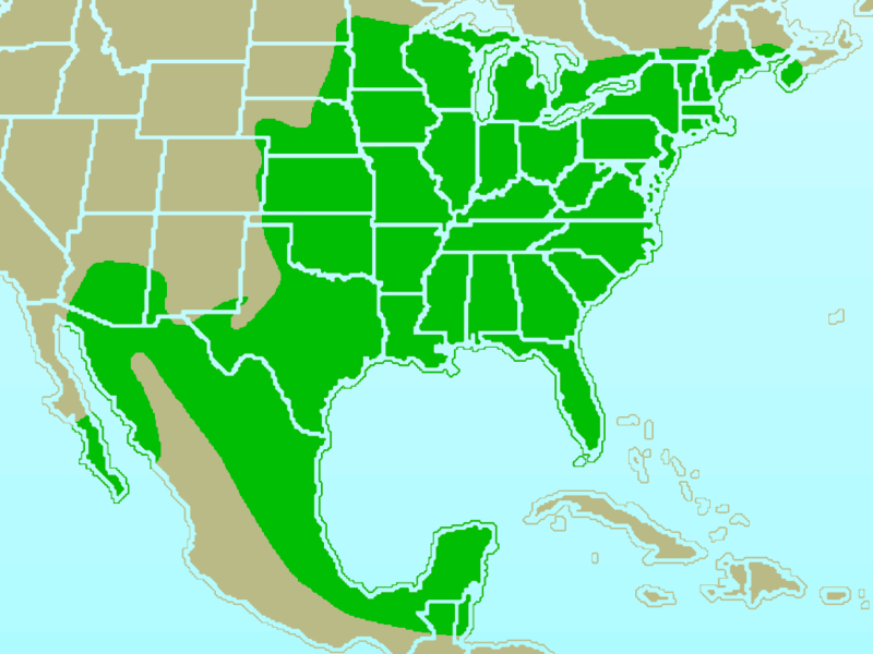 Файл:Northern Cardinal-rangemap.gif