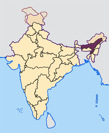Файл:Assam in India.png