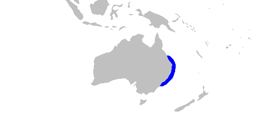 Файл:Dasyatis fluviorum rangemap.png
