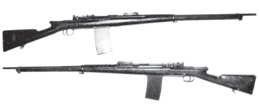 Файл:Cei-Rigotti version 1.png