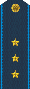 Файл:RAF AF W2SenPrap 2010.png