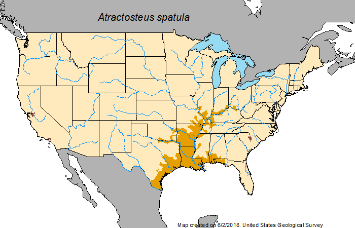 Файл:Alligator gar-range-Atractosteus spatula.png