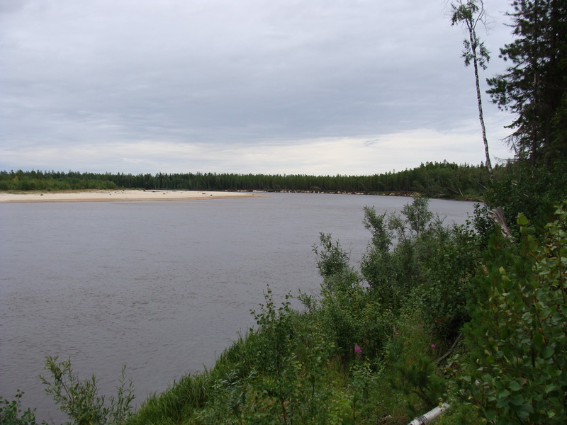 Файл:Pyakupur river.jpg