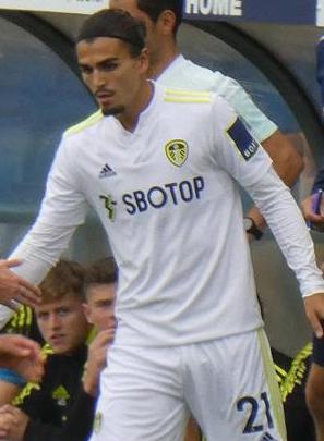 Файл:Struijk.jpg