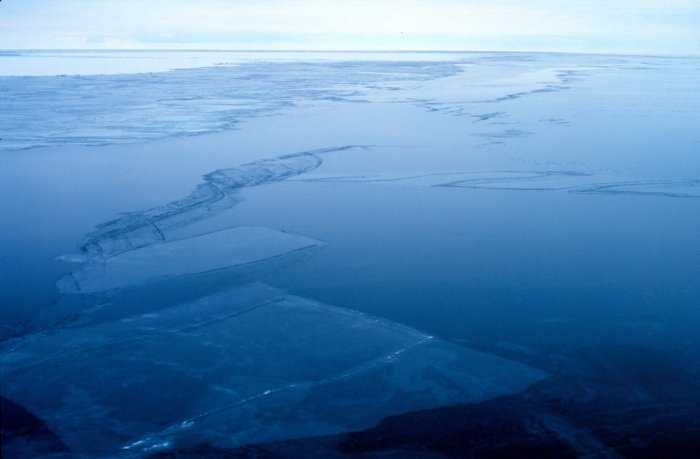 Файл:NOAA Ross sea.jpg