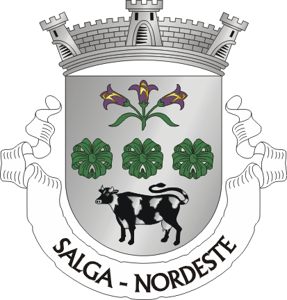 Файл:NRD-salga.png