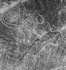 Файл:Nazca monkey.jpg