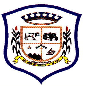 Файл:Brasao Cerrito.png