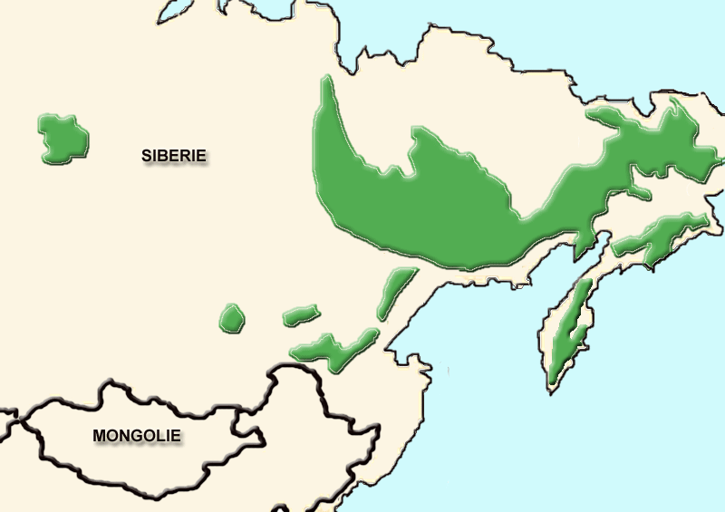 Файл:Ovis-nivicola-map.png