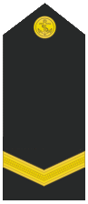 Файл:Brazilian Navy OR-9.png