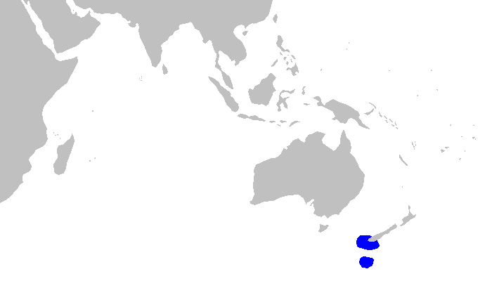 Файл:Bythaelurus dawsoni distmap.png