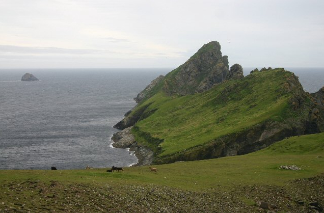 Файл:Dun, St Kilda.jpg
