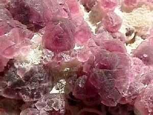 Файл:Fluorite USA.jpg
