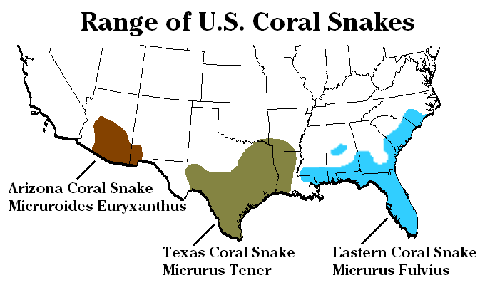 Файл:USA Coral Snake Range.png