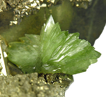 Файл:Ludlamite-245656.jpg
