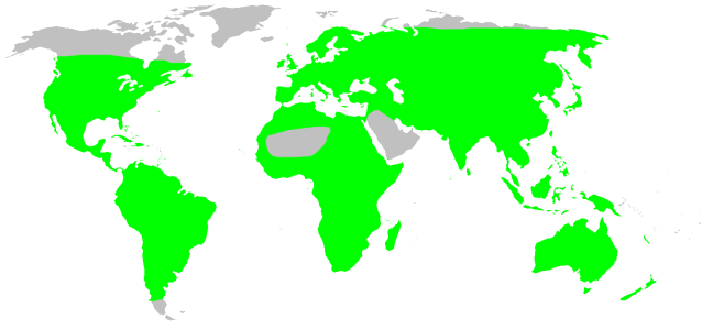 Файл:Distribution.pisauridae.1.png