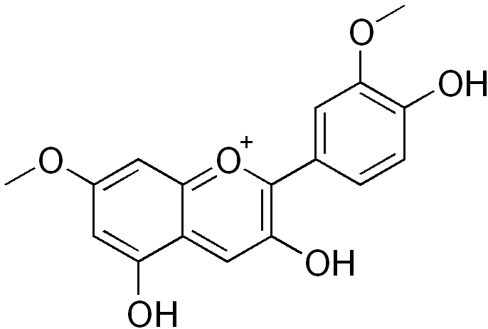 Файл:Rosinidin.png