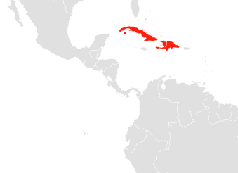 Файл:Phyllonycteris poeyi map.png
