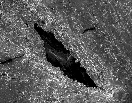 Файл:Blu Tack under a scanning electron microscope.jpg
