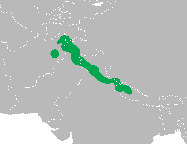 Файл:Dendrocopos himalayensis distribution map.png