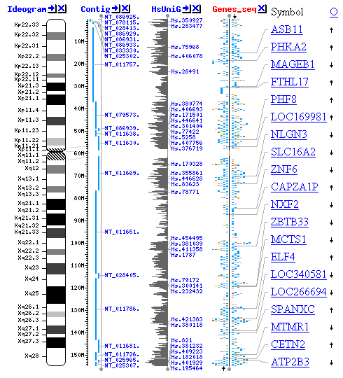 Файл:Genome viewer screenshot small.png