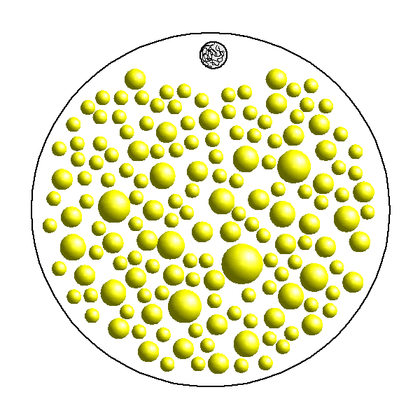 Файл:Ovum telolecithale.png