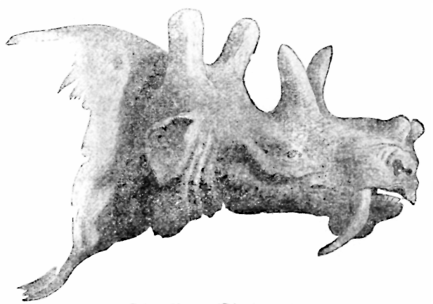 Файл:Eobasileus.png