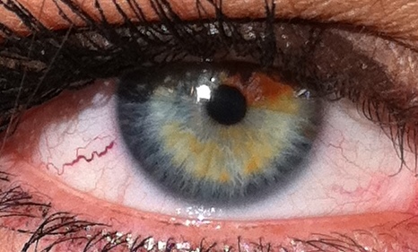 Файл:Eye55.jpg