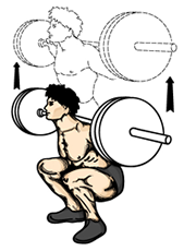 Файл:Squat.png