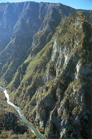 Файл:Tara River Canyon.jpg