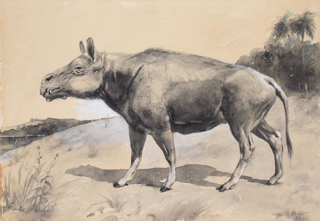 Файл:Knight entelodont.jpg