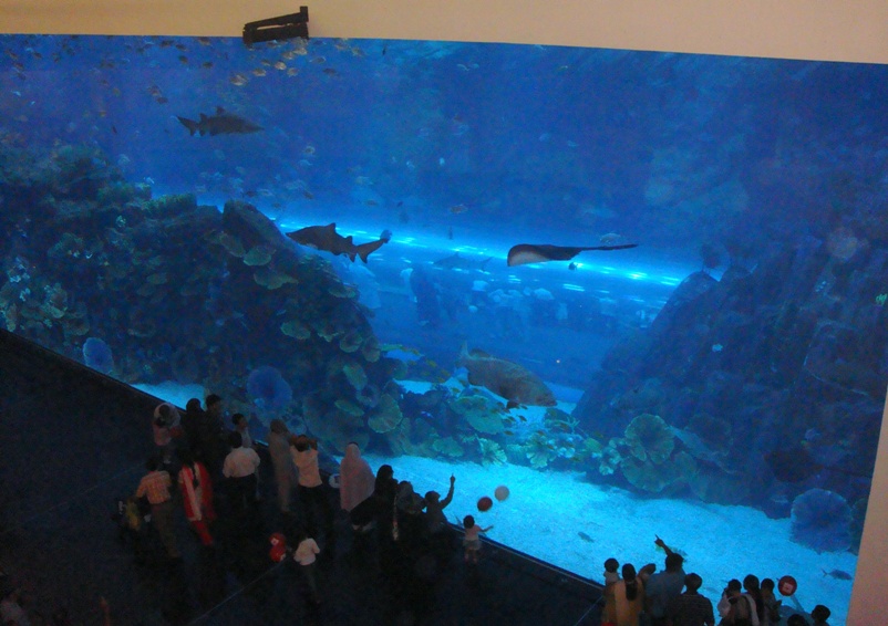 Файл:Dubai Mall aquarium.jpg