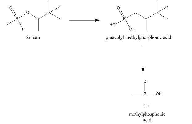 Файл:Metabolisim of Soman.png