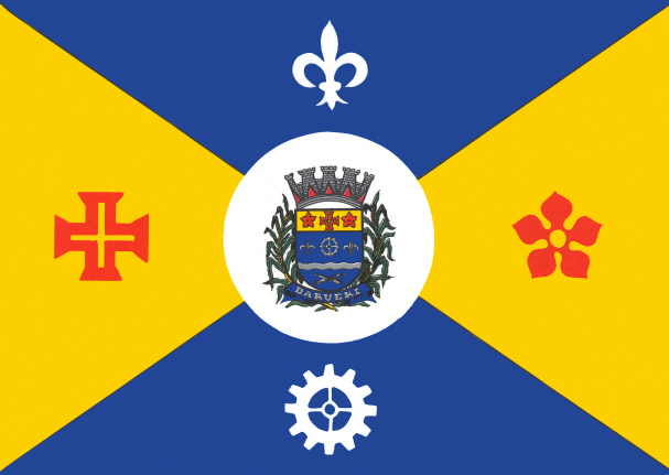 Файл:Bandeira barueri.jpg