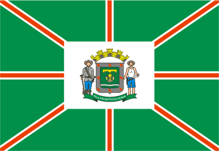 Файл:Bandeira de Goiania.png