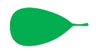 Файл:Leaf morphology obovate.png
